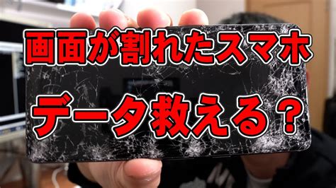 スマホが壊れたのでデータ救出のためDATASMART .